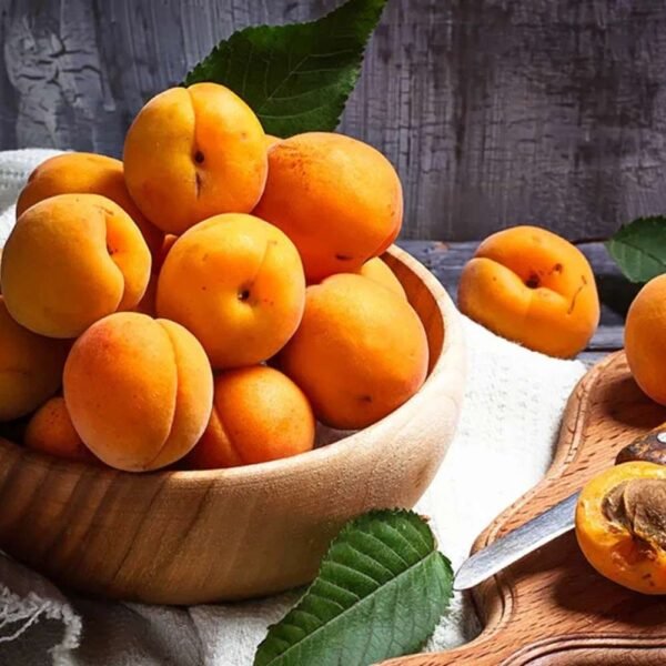 Apricots